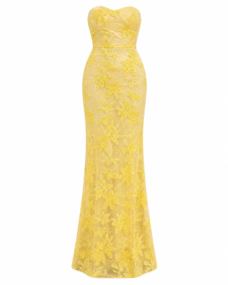 Tourves Lace Gown