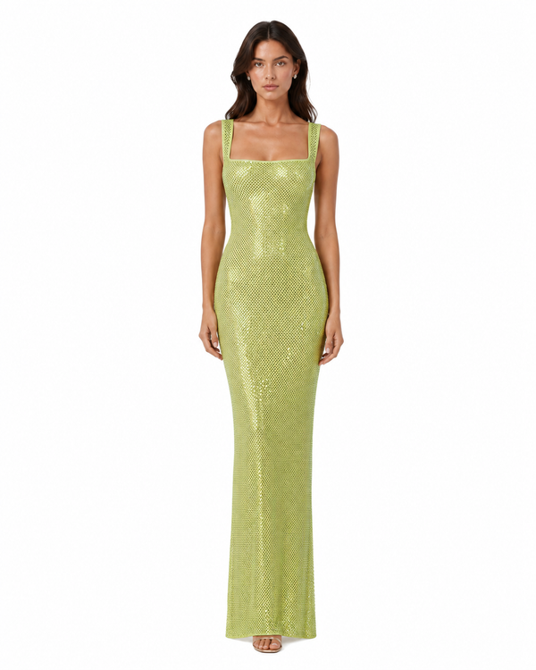 Limon Crystal Gown on model